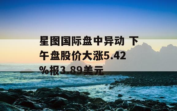 星图国际盘中异动 下午盘股价大涨5.42%报3.89美元